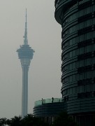 529  view to Macau Tower.JPG